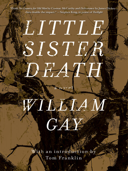 Title details for Little Sister Death by William Gay - Available